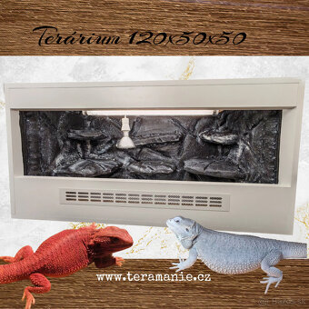 Terárium 100x50x50 , agama bradatá - 4