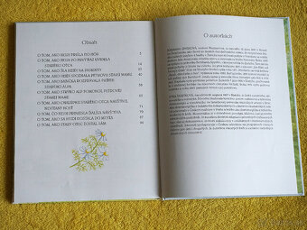 Kniha HEIDI dievčatko z hôr - 4