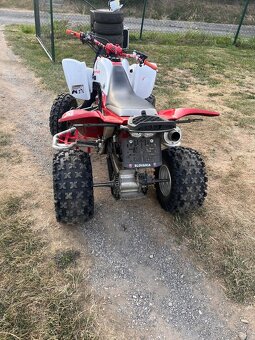 Yamaha Raptor 660 s TP - 4