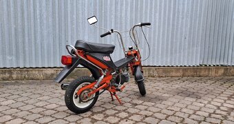Stella - 4