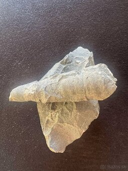 Skameneliny Orthoceras - 4