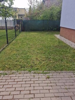 Zdendofix - Hodinový manžel - 4