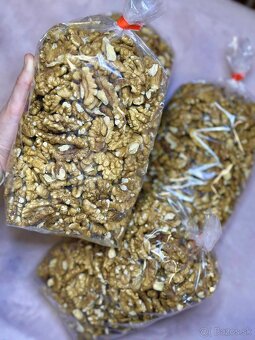 Orechy vlašské tohtoročné - 4