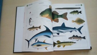 Obrazove slovniky - 4