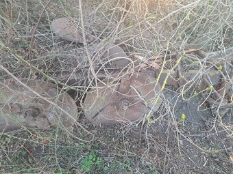 Dvojbubnova kosa - 4