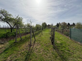 Viničný dom so záhradou NOVÁ Studňa - 4