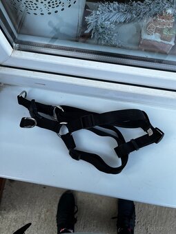 Predám za symbolické ceny - 4