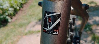 Genesis impact ltd - 4