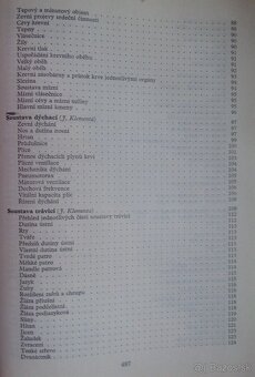Somatologie a antropologie - 4