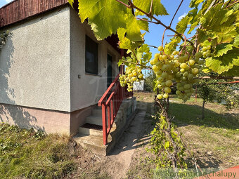 Na predaj záhradná chatka neďaleko rybníka – Nové Zámky, č - 4