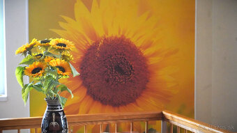 Rodinný dom blízko centra mesta . - 4