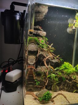 Nano akvárium 30l - 4