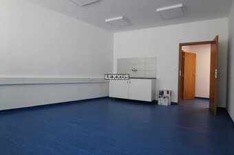 | priestory vhodné na kliniku, kancelárie, terasa garáž, BA - 4