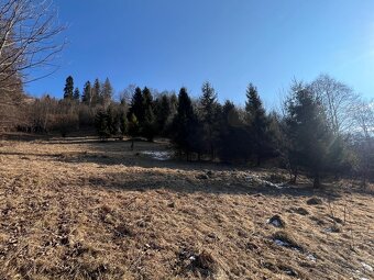 TRIOREALITY - Rekreačné pozemky na predaj - 13.038 m2 - 4