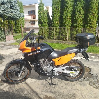 Honda Transalp - 4