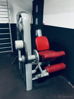 Predám profesionálne fitness stroje TECHNOGYM - 4