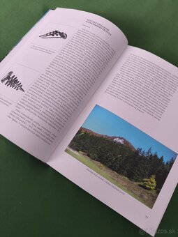 Slovenské Pravno - 4