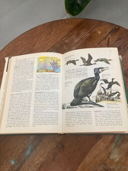 Svet živočíšnej ríše - 4