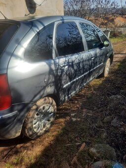 Citren xara Picasso - 4
