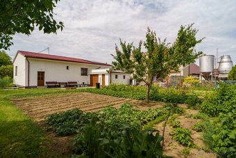 Exkluzívny predaj rodinného domu v obci Jelšovce, okres NR - 4