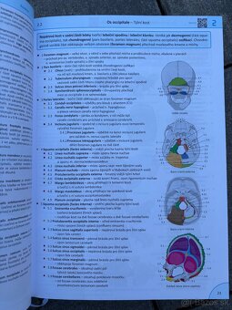 Memorix anatomie 6.vydanie - 4