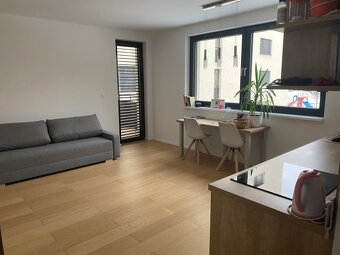 Prenájom byty 1 iz. NOVOSTAVBA,Radlinského ul.BAI - 4