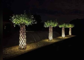 Pletená Vŕba americana salix - 4