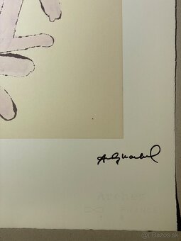 Andy Warhol "Sam" Limitovaná edícia_Certifikát - 4