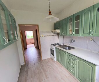 Veľký byt so záhradkou - 4