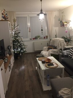 3 izbový byt predaj - 4