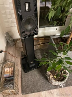 Aurum Cantus V2M - 4