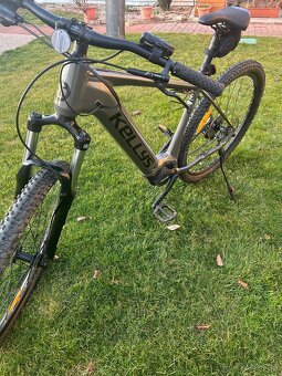 Kellys Tygon R10 - 4