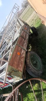 Ťažná kobyla a ovce romanovské - 4