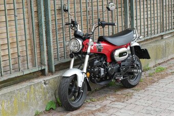 Honda DAX 125 - 4