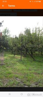 Na predaj Záhrada & Pozemok 1641m² - 4