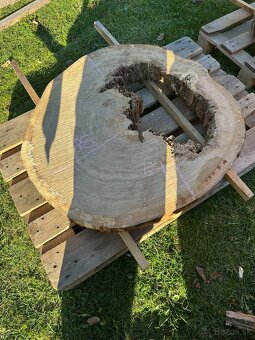 Vysušené dubové koláče / priečne rezy, dub - 4