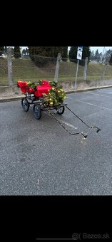 Brička wagoneta - 4