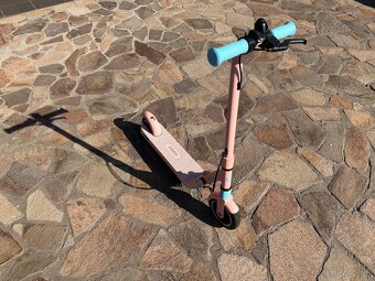 Segway Ninebot eKickScooter ZING E8 - 4