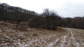 Predám rekreačný pozemok v Hornom Sŕní - 4