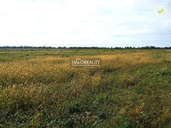 HALO reality - Predaj, pozemok pre rodinný dom 763 m2 Štef - 4