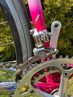 Colnago Tecnos Art Decor - 4