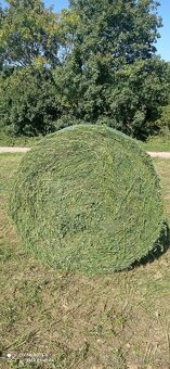 Lis na guľaté balíky - 4