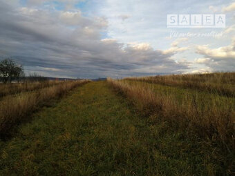 Stavebný pozemok v Meste Myjava o výmer 8930m2. - 4