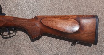 Guľová kozlica Brno - 4