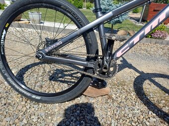 Ctm dirtking - 4