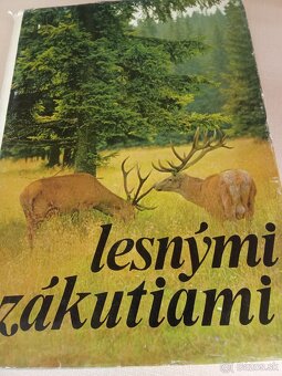 Poľovníctvo - 4