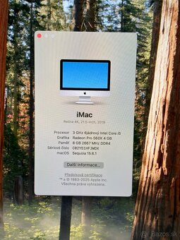 Apple iMac 21,5 Retina 4K – 2019 - 1TB - 4