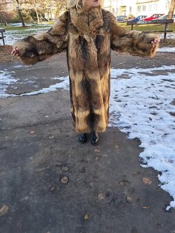 Kožich. Jezerní liška. - 4