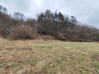 Na predaj exkluzívny pozemok o výmere 16.000 M2 v obci Jase - 4
