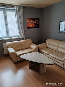 Kožená sedačka - 4